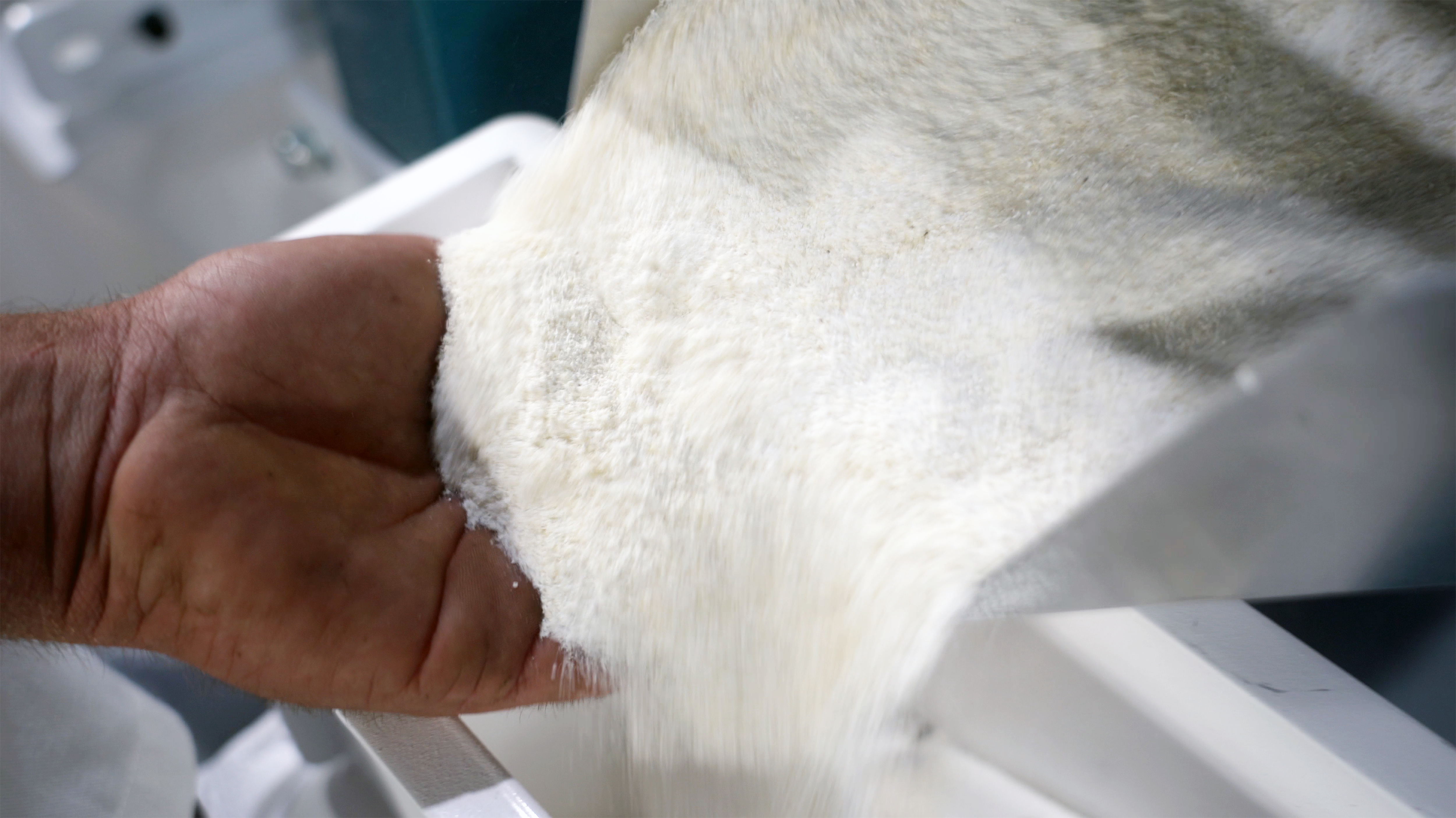 MAIZE MILLING PROCESS AND TERMS EXPLAINED