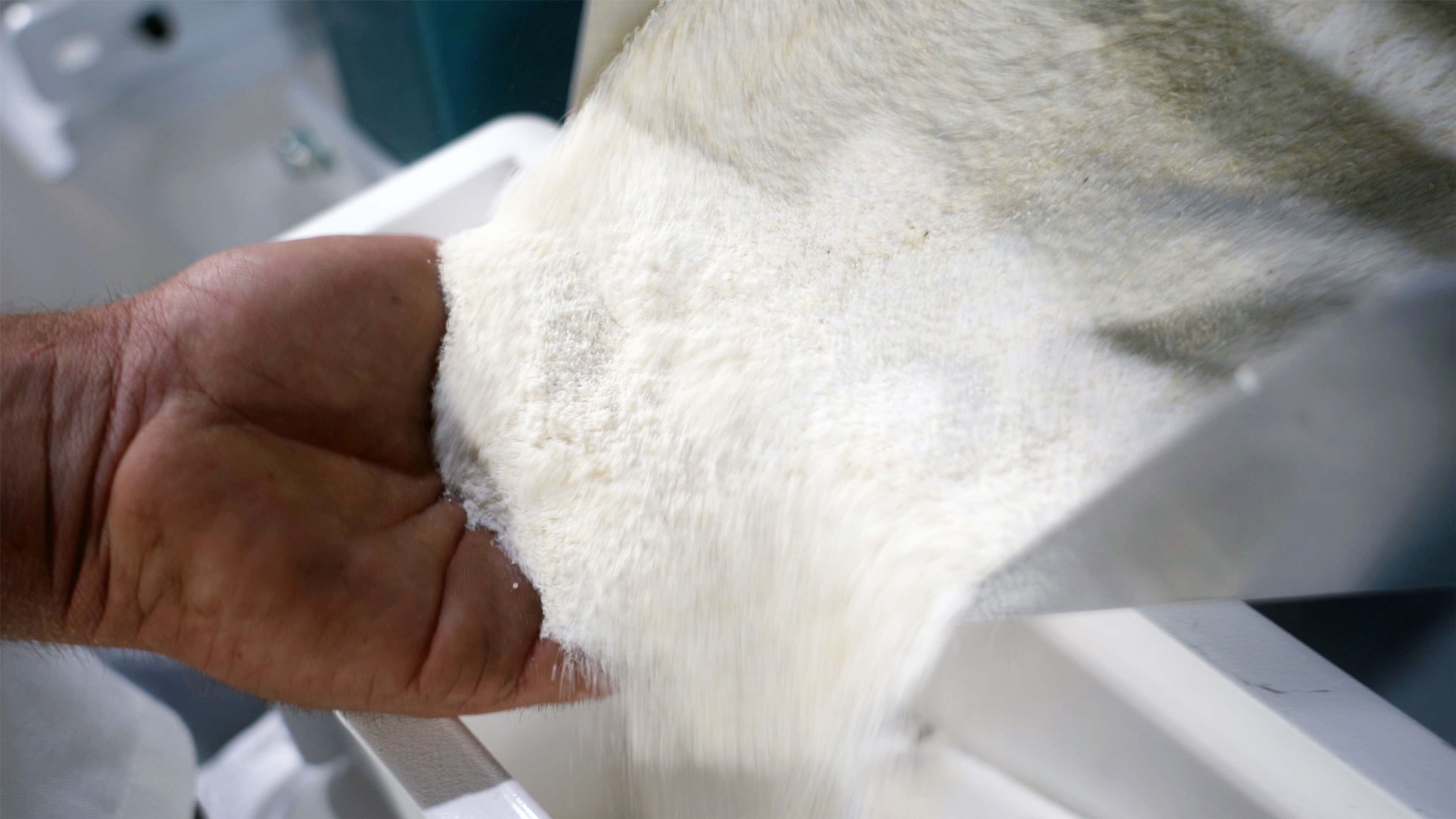 The importance of extraction rates on the overall maize mill profitability