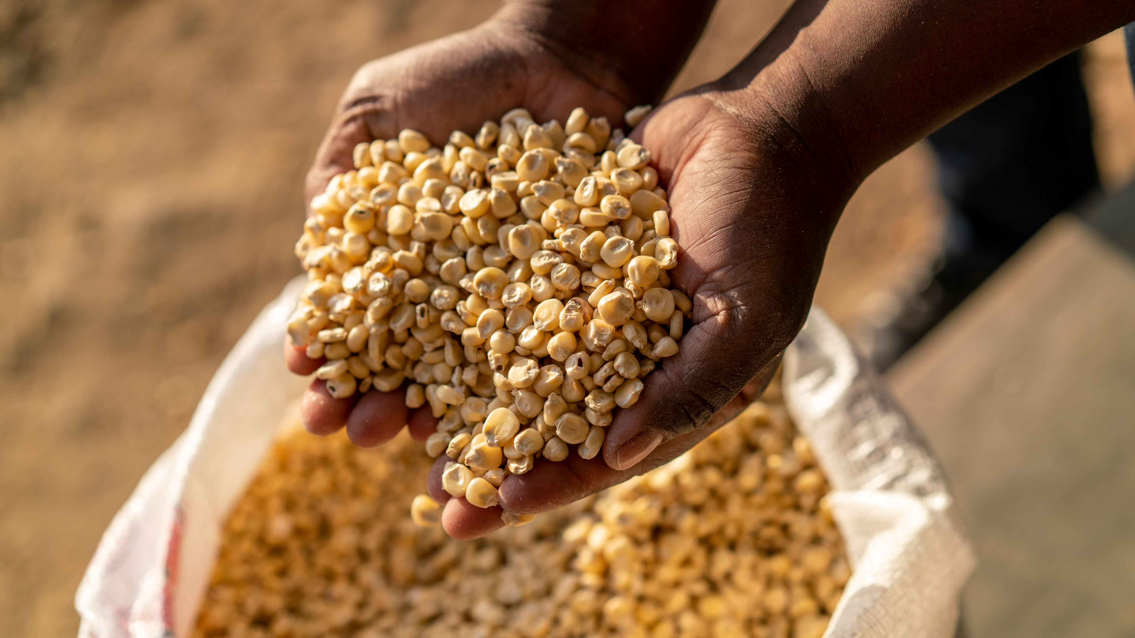 Posho client with bag of maize ready for milling