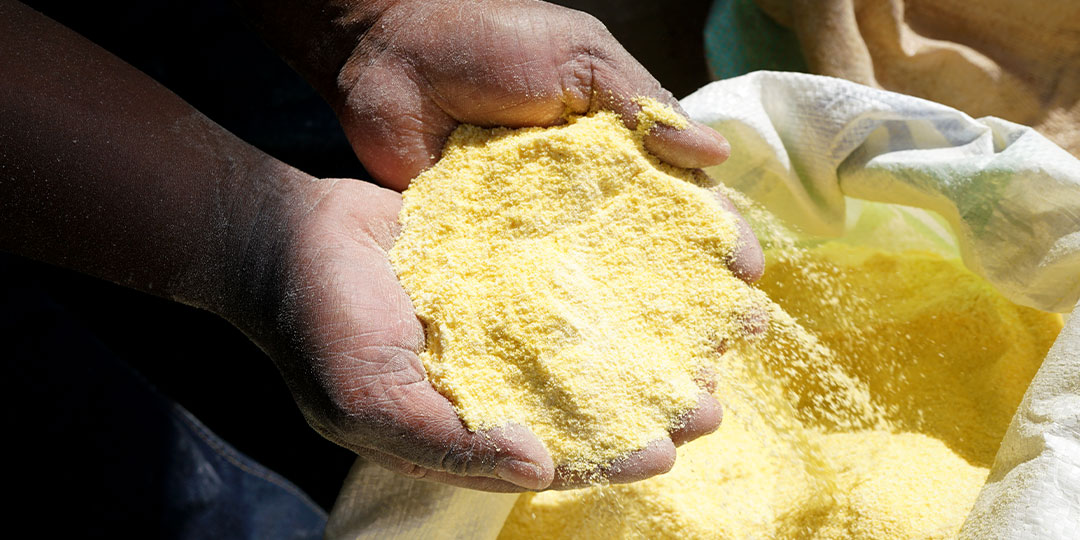 maize milling